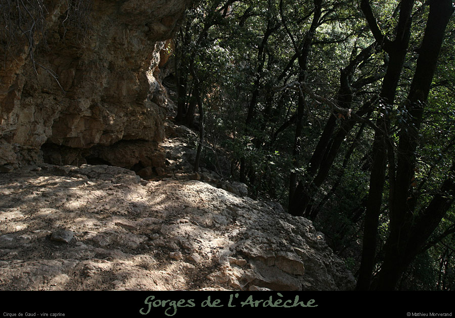 20110706_cirquegaud_virecaprine_aprespteest