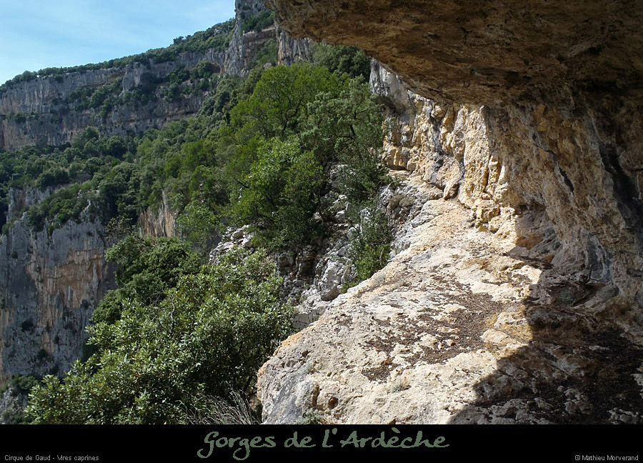 20120624_cirquegaud_vireint_passageberger