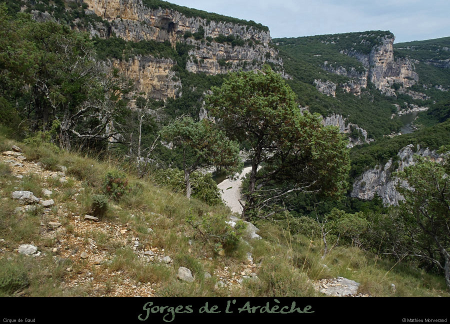 20120624_cirquegaud_virew