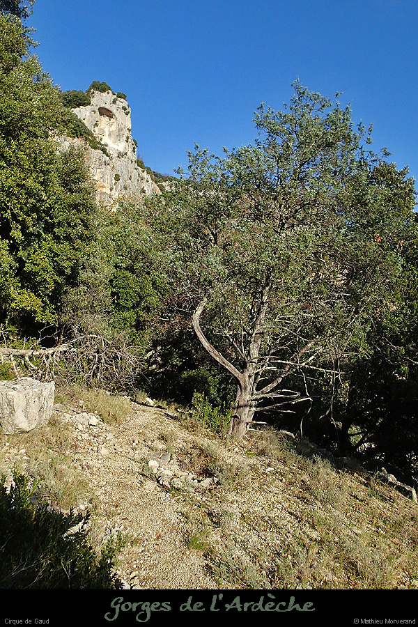 20151108_cirquegaudoliviers1