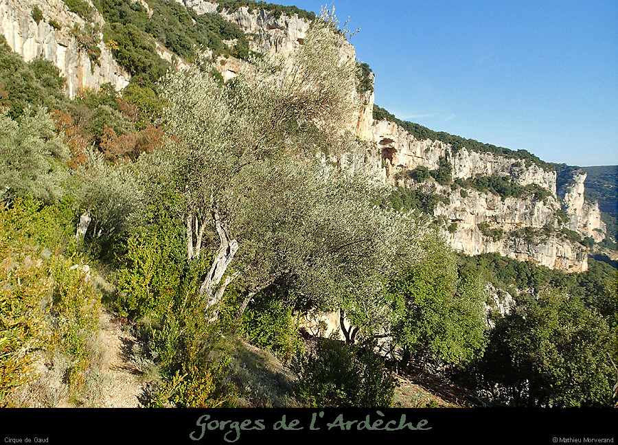 20151108_cirquegaudoliviers2