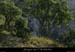 20080814_001gaud