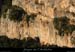 20081116_gaud_virecaprine