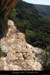 20090820_virecaprineint08