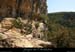 20090820_virecaprineint09
