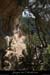 20090820_virecaprineint10