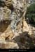 20120624_cirquegaud_vireint_chaos