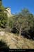 20151108_cirquegaudoliviers1