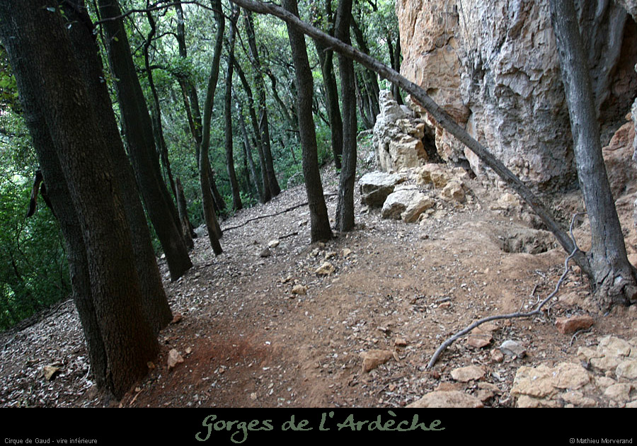 20110706_cirquegaud_vireinf