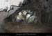 20080301_gaud_vireinf_grotte2