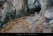 20090830_cirquegaud_vireinf_grottes
