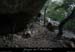 20110706_cirquegaud_vireinfbaume
