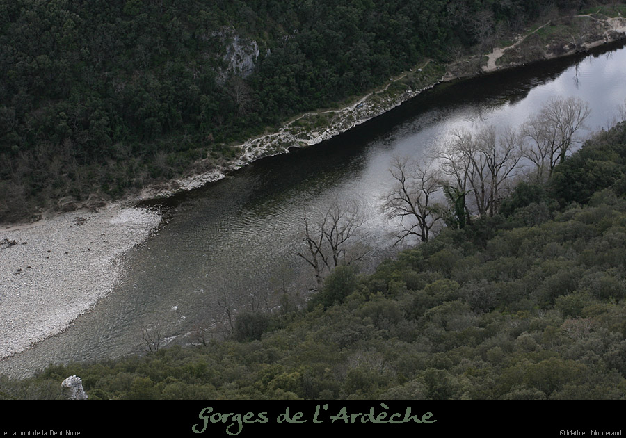 20080301_amdtnoire