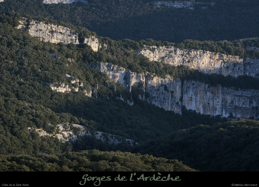 20111229_cretedentnoiredepuisserredetourre1