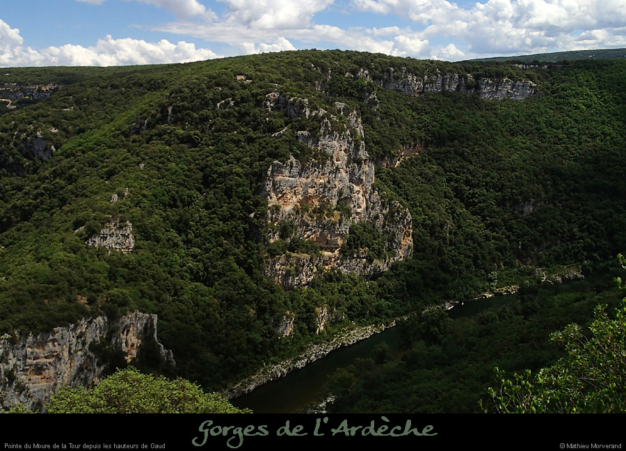 20140629_ptemourredelatourdegaud