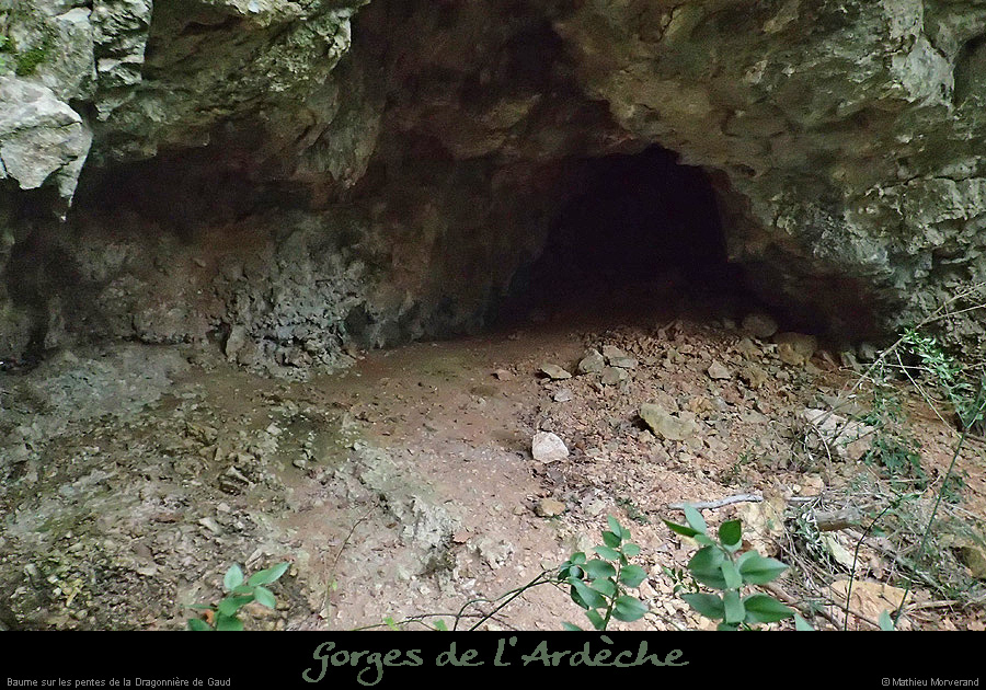 20160103_pentesdragonnierebaume4