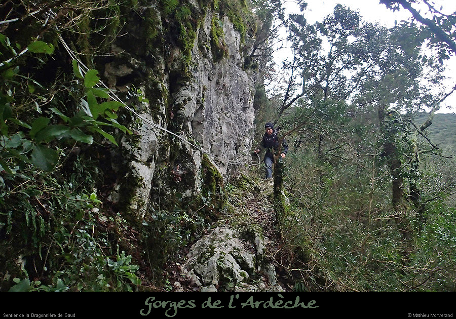 20160103_pentesdragonnieresentier