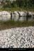 20090820_plagebivouacgaud