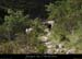 20130602_gaud_sentierrd1