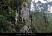 20160103_pentesdragonnieresentier
