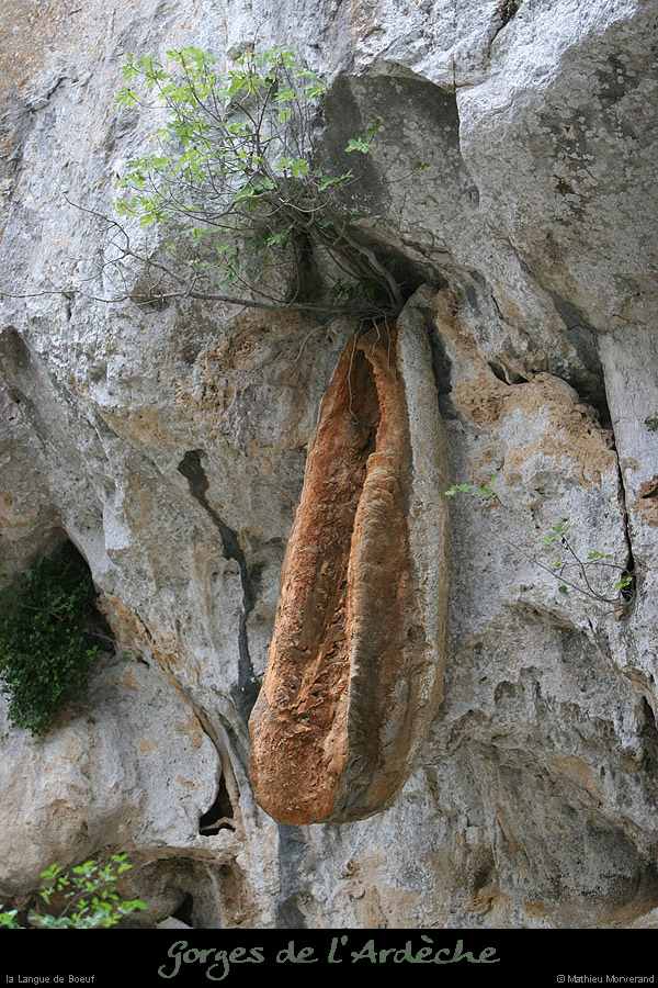 20060812_gaudconcretion