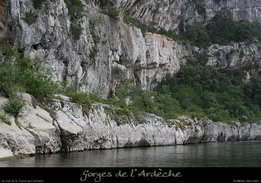 20080720_25