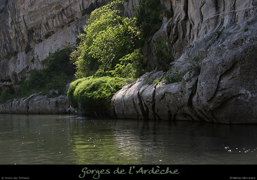20110421_sourcetuffeaux4