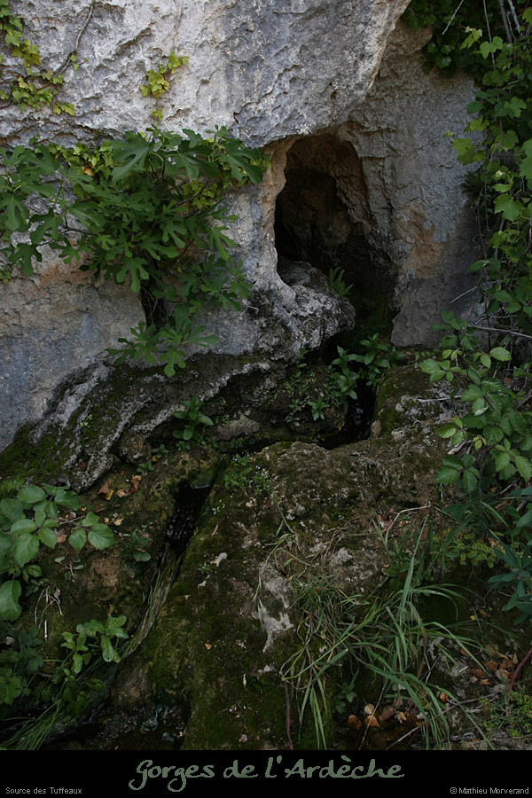 20110427_tuffeaux_source