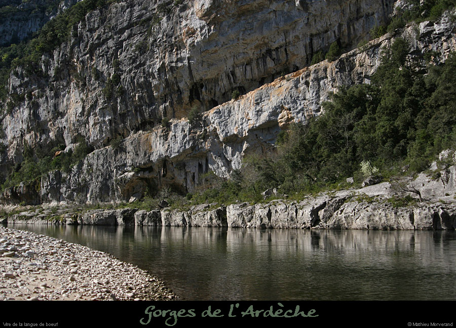 20130414_virelanguedeboeuf
