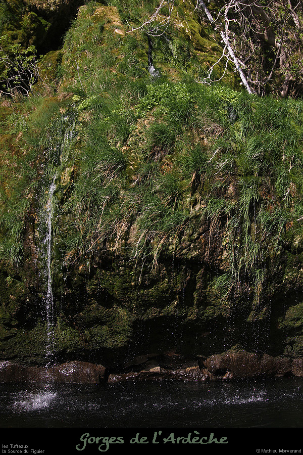 20140406_087