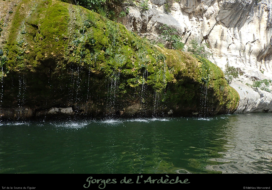 20240619_150
