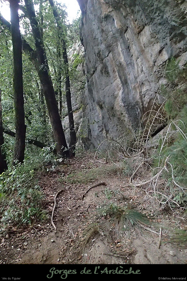 20160103_virefiguier18