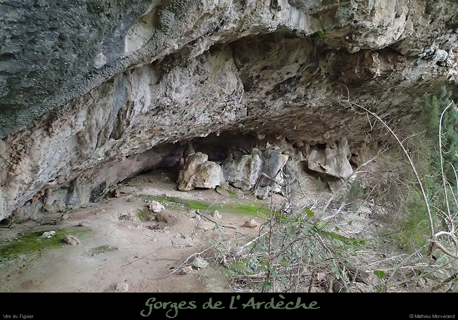 20160103_virefiguier23