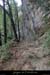 20160103_virefiguier18