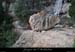 20160103_virefiguier22