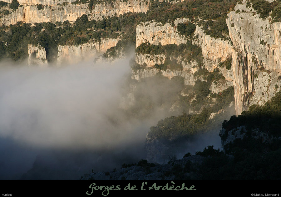 20091227_ssautridgebumes1