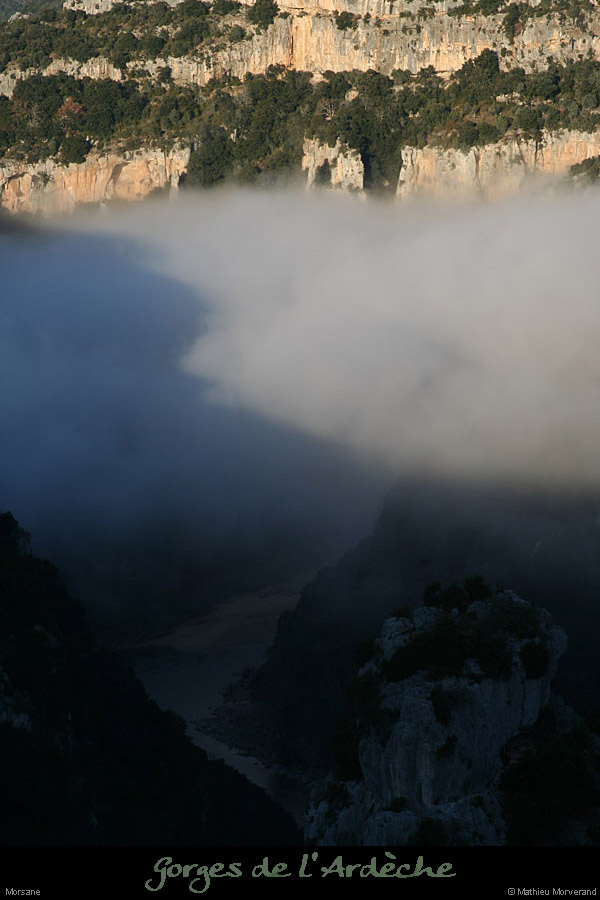 20091227_ssautridgebumes2