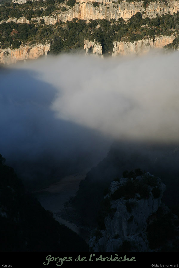 20091227_ssautridgebumes3