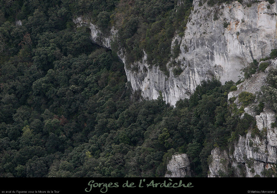 20100327_falaiserdavfigueras