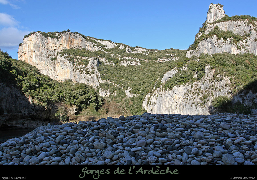 20050102_morsannedeplatane