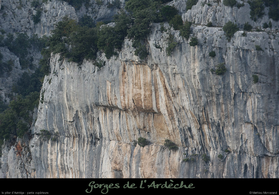 20080927_autridgeht1
