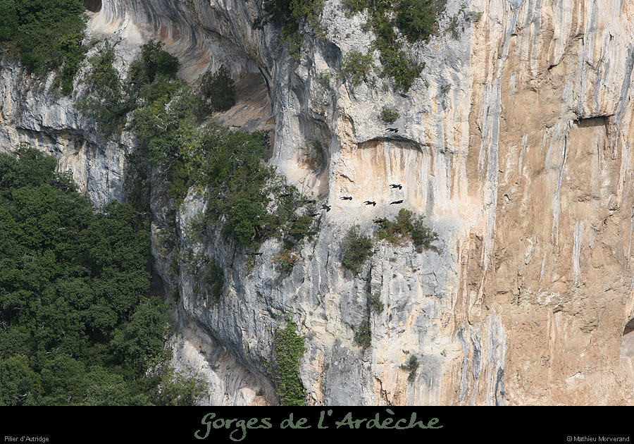 20081005_autridge2