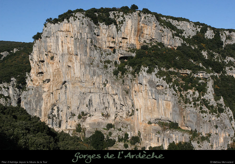 20081116_autridge