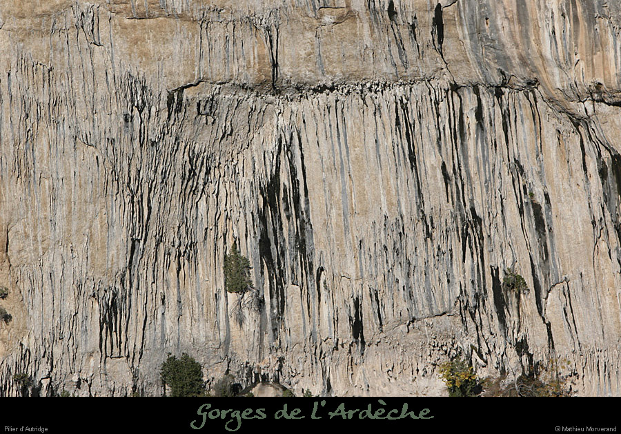 20081116_autridgebas