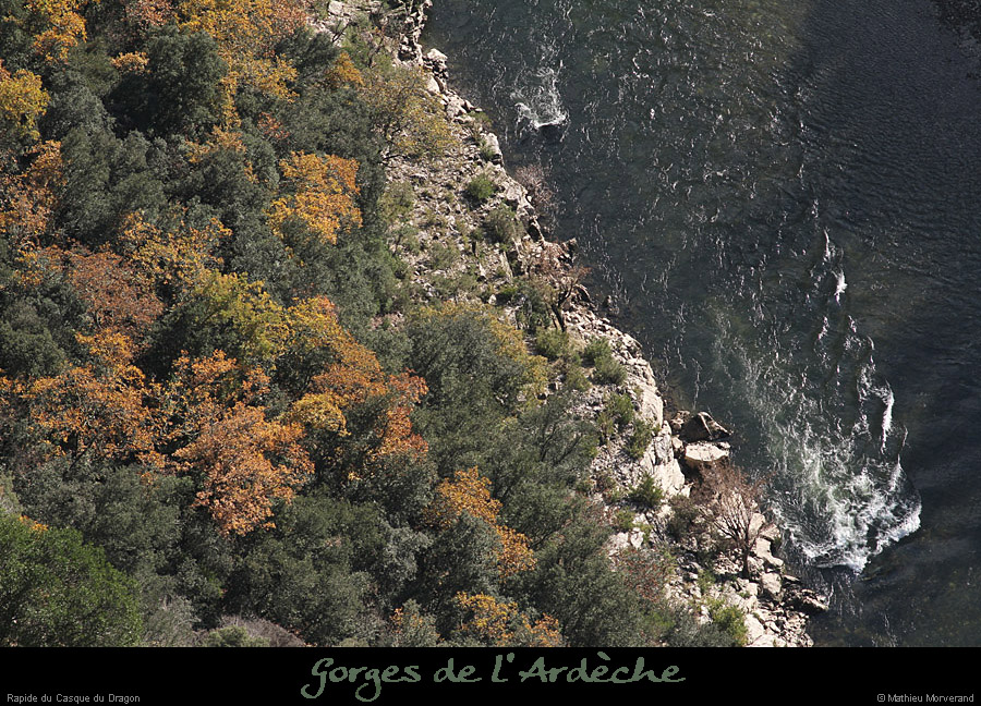 20111204_rapideducasquedugragonssautridge