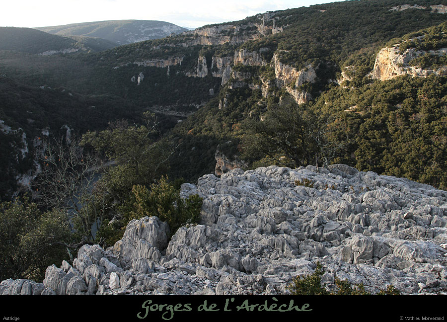 20111229_autridge_lapiazsommet1