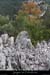 20131019_autridge_lapiaz
