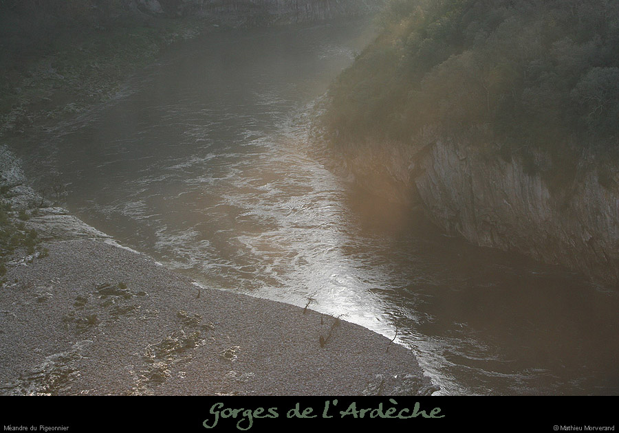 20061203_platane1