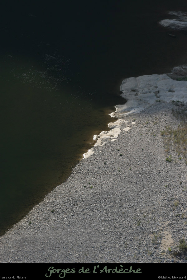 20080927_avalsrcplatane4