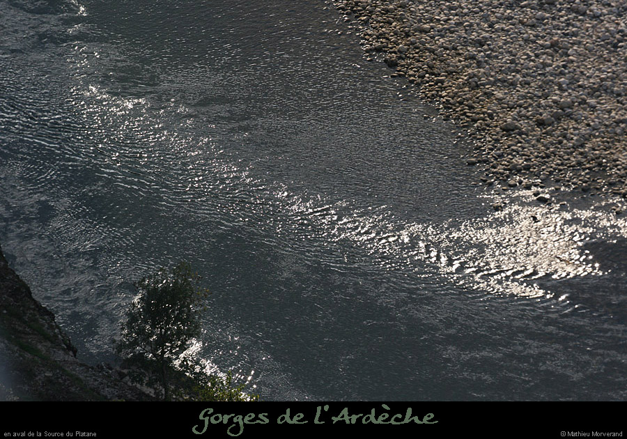 20080927_rapideavalsrcplatane2